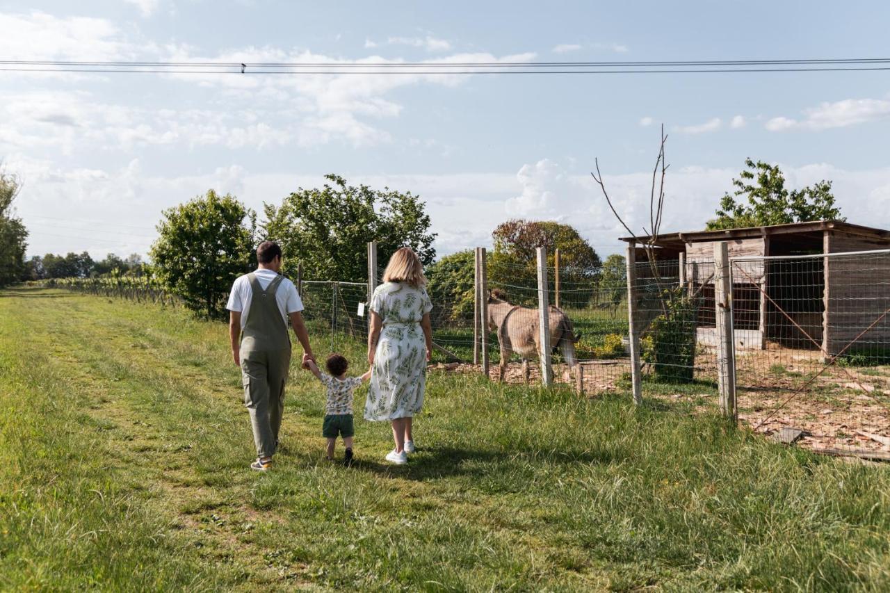 Agriturismo Rechsteiner Ponte di Piave Exterior foto